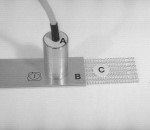 ms10.jpg (3644 Byte)