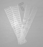 ms11.jpg (13788 Byte)